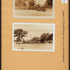 Bronx: Tremont Avenue (East - Silver Street