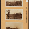 Bronx: Eastern Boulevard - Metcalf Avenue