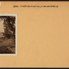 Bronx: Eastern Boulevard - Mendell Street