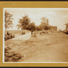 Bronx: Fulton Park.