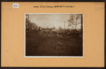 Bronx: Grand Avenue - 175th Street (West)