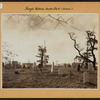 Bronx: Hunts Point Road - Whitlock Avenue