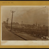 Bronx: Longfellow Avenue - Seneca Street