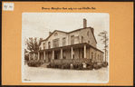 Bronx: Meagher Avenue - Chaffee Avenue