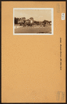 Bronx: Mosholu Avenue - Broadway