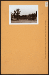 Bronx: Muliner Avenue - Morris Park Avenue