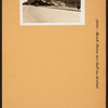 Bronx: Olinville Avenue - Mace Avenue