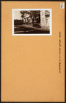 Bronx: Olinville Avenue - Magenta Street