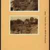 Bronx: Parkside Place - Webster Avenue