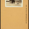 Bronx: Paul Avenue - Bedford Park Boulevard