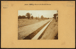Bronx: Paulding Avenue - Sacket Avenue