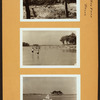 Bronx: Pelham Bay Park.