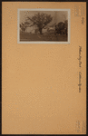 Bronx: Pelham Bridge Road - Water Street