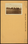 Bronx: Pelham Bay Park - International Garden Club