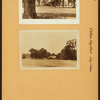 Bronx: Pelham Bay Park - log cabin.