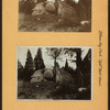 Bronx: Prospect Avenue - 37th Avenue