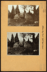 Bronx: Prospect Avenue - 37th Avenue