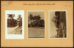 Bronx: City Island Road - Rodman's Neck