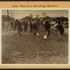Bronx: Philip Avenue - Throgs Neck Boulevard