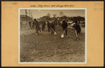 Bronx: Philip Avenue - Throgs Neck Boulevard