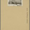 Bronx: Pratt Avenue - 233rd Street (East)
