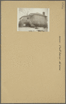 Bronx: Pratt Avenue - 233rd Street (East)
