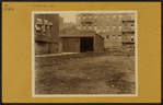 Bronx: Prospect Avenue - 37th Avenue