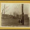 Bronx: St. Raymond's Avenue - Tremont Avenue (East)