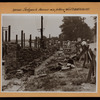 Bronx: Sedgwick Avenue - 170th Street (West)