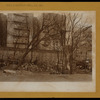Bronx: Seneca Avenue - Longfellow Avenue