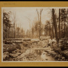 Bronx: Seton Falls Park.