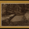 Bronx: Seton Falls Park.