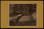 Bronx: Seton Falls Park.