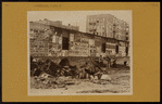 Bronx: Southern Boulevard - 185th Street