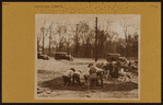 Bronx: Southern Boulevard - 185th Street