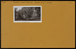 Bronx: Spuyten Duyvil Parkw - William Street