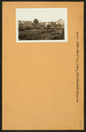 Bronx: Tilden Street - Gunhill Road (East)