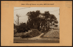 Bronx: University Avenue - 175th Street (West)