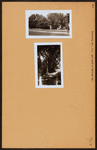 Bronx: University Avenue - Burnside Avenue
