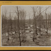 Bronx: Van Cortlandt Park.