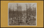 Bronx: Van Cortlandt Park.