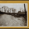 Bronx: Van Cortlandt Park.
