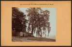 Bronx: Van Cortlandt Park - Van Cortlandt Vault.