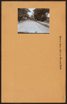Bronx: Vireo Avenue - 233rd Street (East)