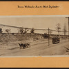 Bronx: Westchester Avenue - Ward Avenue