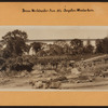 Bronx: Westchester Avenue - Boynton Avenue