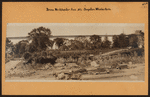 Bronx: Westchester Avenue - Boynton Avenue