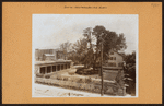 Bronx: Westchester Avenue - St. Peter's Avenue