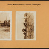 Bronx: Westchester Avenue - Seabury Avenue
