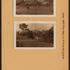 Bronx: White Plains Road - Brady Avenue
